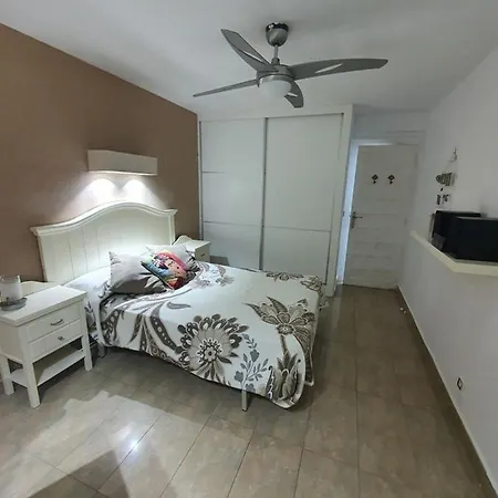 Apartamento Delfin, 40 Metros De La Playa Apartment *
