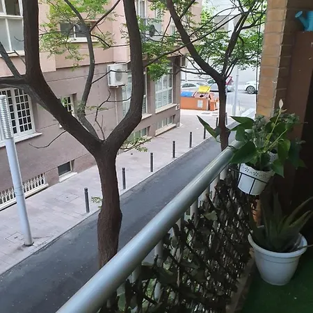 Apartamento Delfin, 40 Metros De La Playa